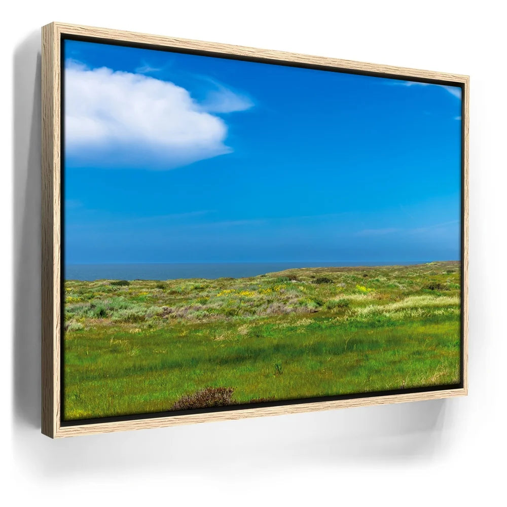 Featured image 9 for SoCal Serene