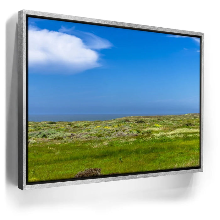 Featured image 8 for SoCal Serene