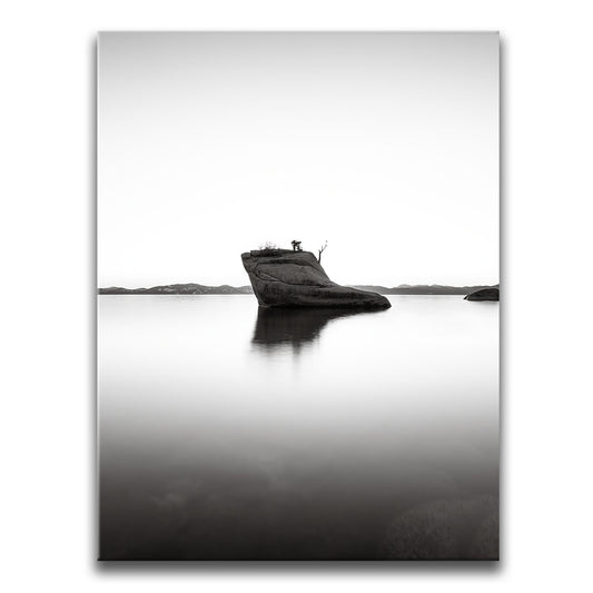 Solitude Point Posters, Prints, & Visual Artwork TheGoatWallArt PORTRAIT 18x24 0.75" STANDARD