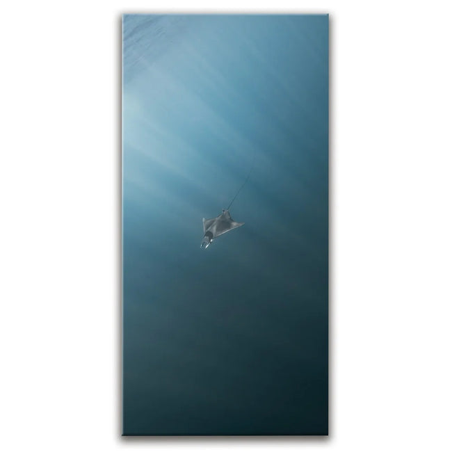 Featured image 1 for Solo Mobula - La Ventana - Mexico
