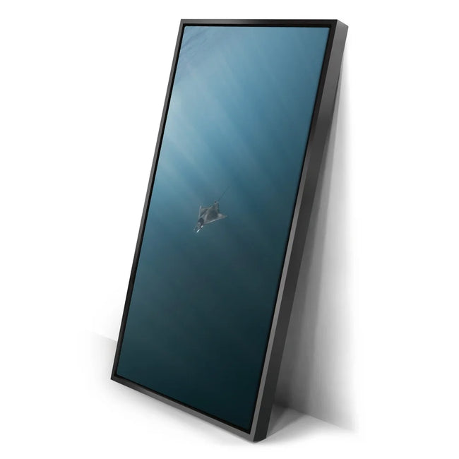 Featured image 2 for Solo Mobula - La Ventana - Mexico