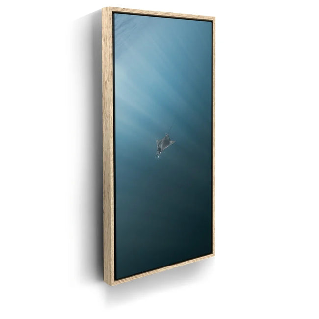 Featured image 10 for Solo Mobula - La Ventana - Mexico
