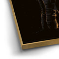 Thumbnail image 12 for Space Bound