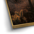 Thumbnail image 12 for Sparkling Spikes - Tucson, Arizona I