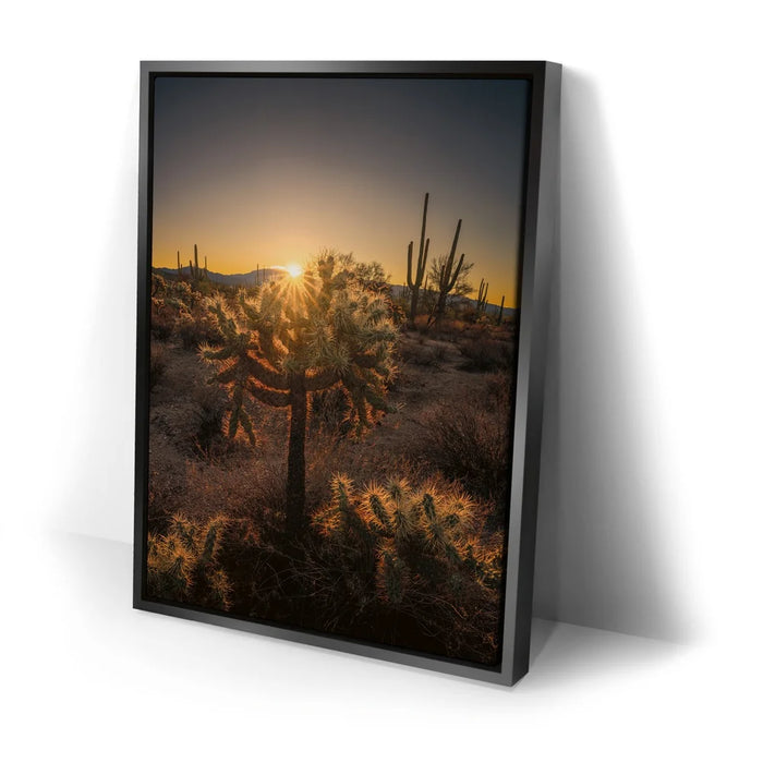 Featured image 2 for Sparkling Spikes - Tucson, Arizona I