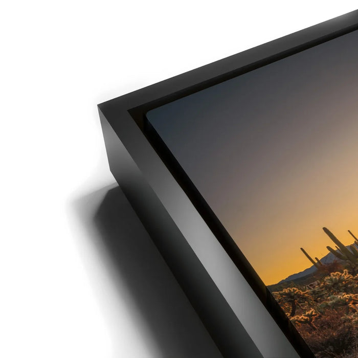 Featured image 11 for Sparkling Spikes - Tucson, Arizona I