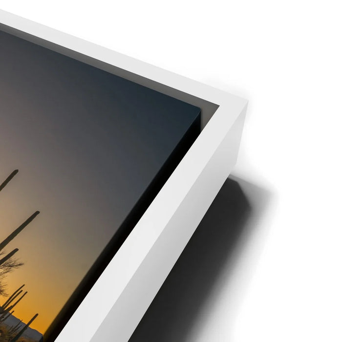 Featured image 13 for Sparkling Spikes - Tucson, Arizona I