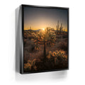 Featured image 5 for Sparkling Spikes - Tucson, Arizona I