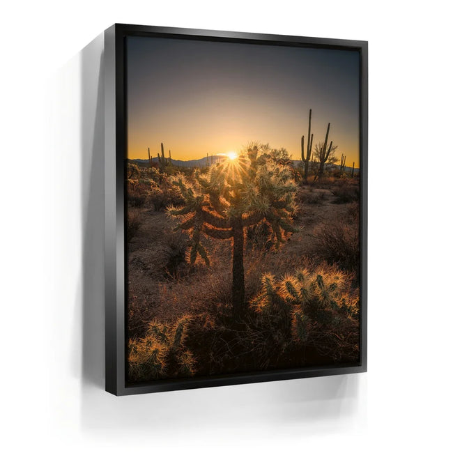 Featured image 5 for Sparkling Spikes - Tucson, Arizona I