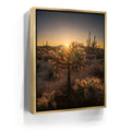 Featured image 7 for Sparkling Spikes - Tucson, Arizona I