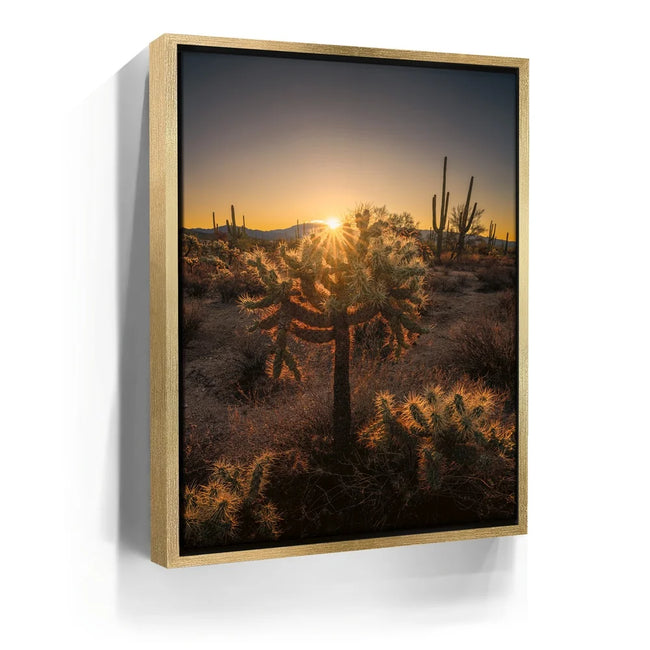 Featured image 7 for Sparkling Spikes - Tucson, Arizona I