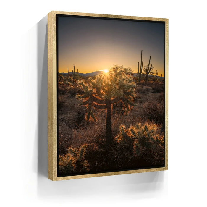 Featured image 7 for Sparkling Spikes - Tucson, Arizona I