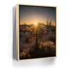 Featured image 9 for Sparkling Spikes - Tucson, Arizona I
