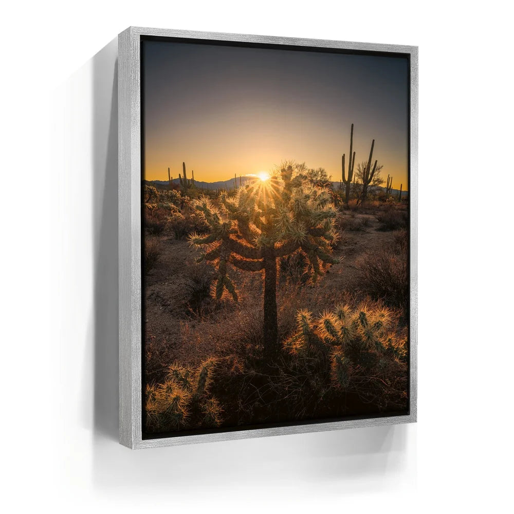 Featured image 8 for Sparkling Spikes - Tucson, Arizona I