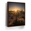 Featured image 10 for Sparkling Spikes - Tucson, Arizona I