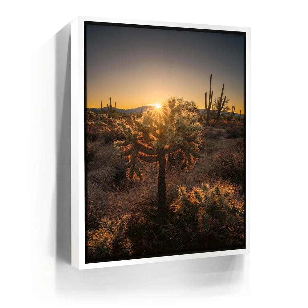 Featured image 6 for Sparkling Spikes - Tucson, Arizona I