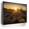 Featured image 5 for Sparkling Spikes - Tucson, Arizona II