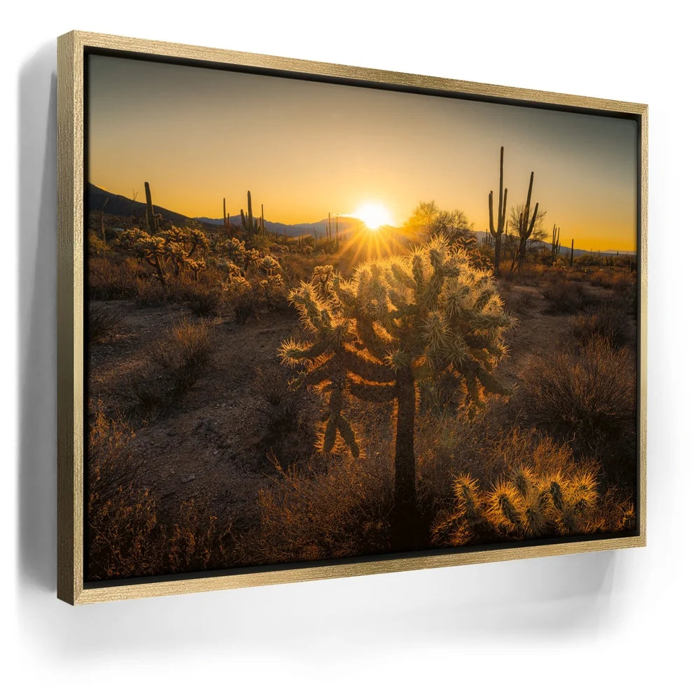 Featured image 7 for Sparkling Spikes - Tucson, Arizona II