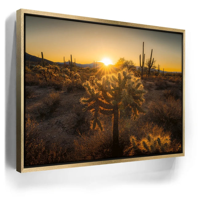 Featured image 7 for Sparkling Spikes - Tucson, Arizona II