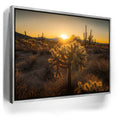 Featured image 8 for Sparkling Spikes - Tucson, Arizona II