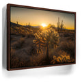 Featured image 10 for Sparkling Spikes - Tucson, Arizona II