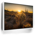 Featured image 6 for Sparkling Spikes - Tucson, Arizona II