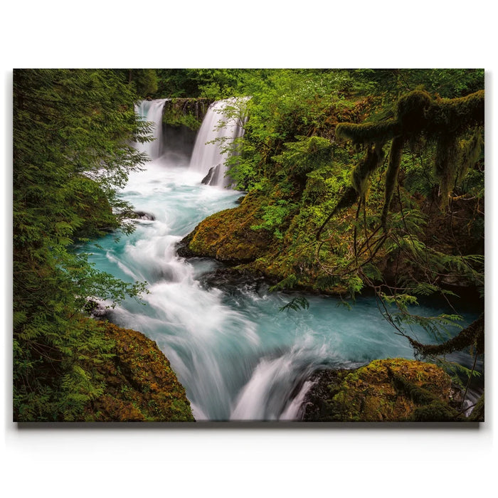 Featured image 1 for Spirit