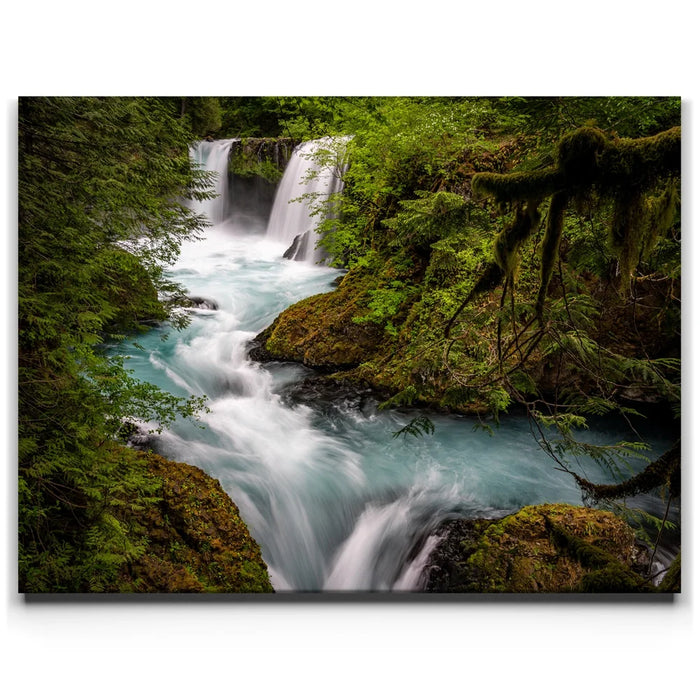 Featured image 1 for Spirit