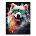 Featured image 1 for Spitz Rockstar