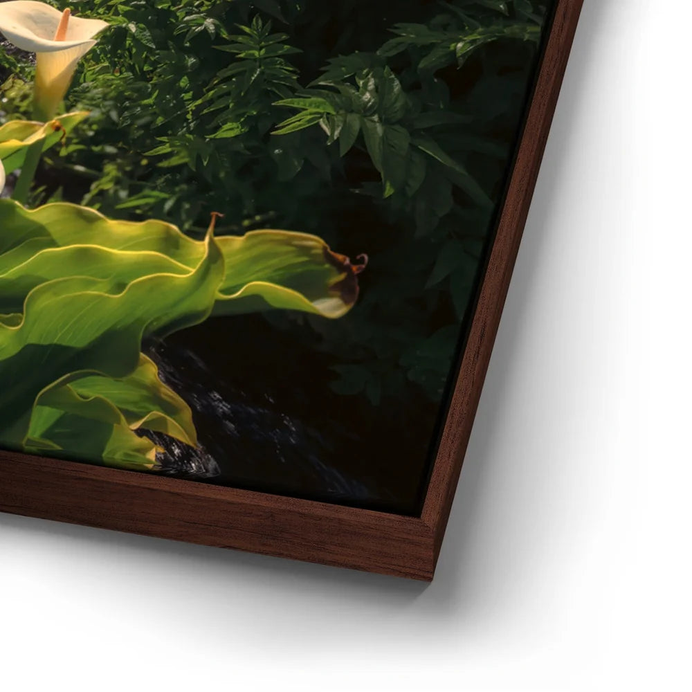 Featured image 14 for Spring Bloom - Calla Lily Valley, Carmel CA