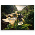 Featured image 1 for Spring Bloom - Calla Lily Valley, Carmel CA