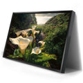 Thumbnail image 2 for Spring Bloom - Calla Lily Valley, Carmel CA