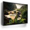 Featured image 5 for Spring Bloom - Calla Lily Valley, Carmel CA
