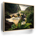 Featured image 9 for Spring Bloom - Calla Lily Valley, Carmel CA