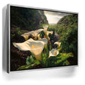 Featured image 8 for Spring Bloom - Calla Lily Valley, Carmel CA