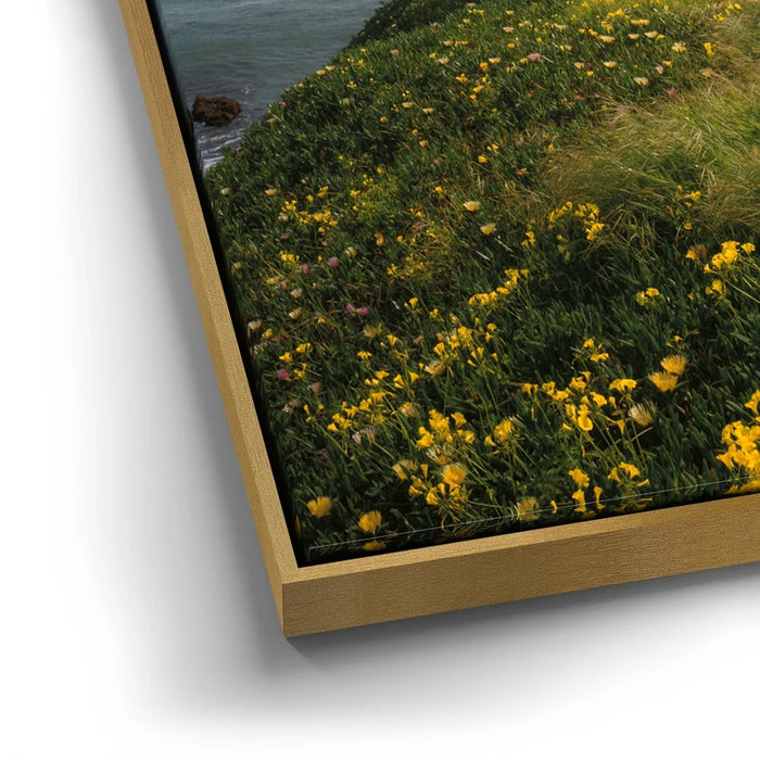 Featured image 12 for Spring Splendor - Santa Cruz, CA