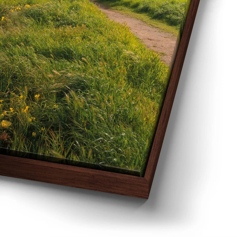 Featured image 14 for Spring Splendor - Santa Cruz, CA