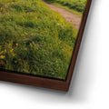 Thumbnail image 14 for Spring Splendor - Santa Cruz, CA