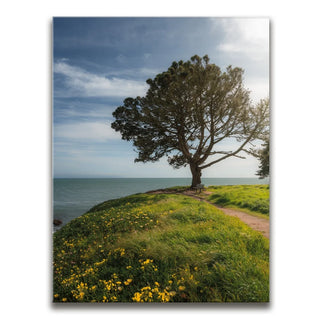 Spring Splendor - Santa Cruz, CA