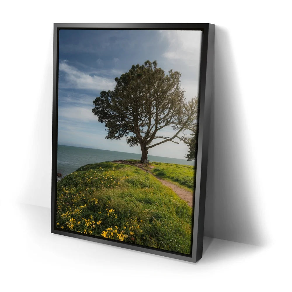 Featured image 2 for Spring Splendor - Santa Cruz, CA