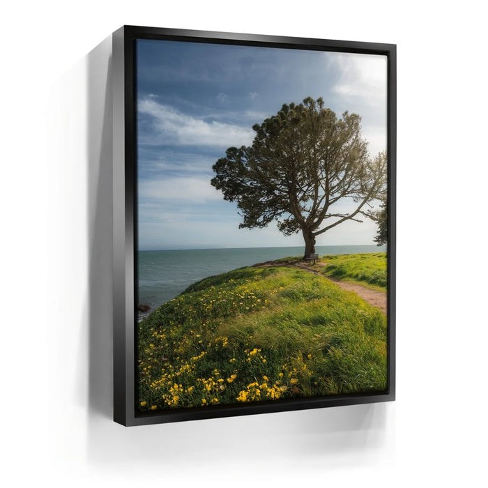 Featured image 5 for Spring Splendor - Santa Cruz, CA