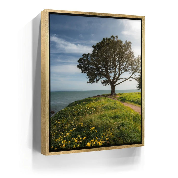 Featured image 7 for Spring Splendor - Santa Cruz, CA