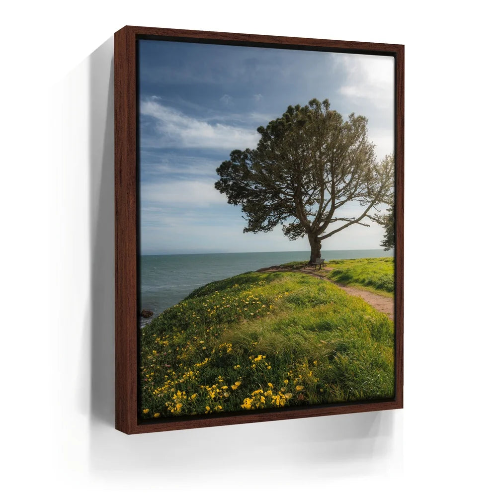 Featured image 10 for Spring Splendor - Santa Cruz, CA