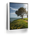 Featured image 6 for Spring Splendor - Santa Cruz, CA