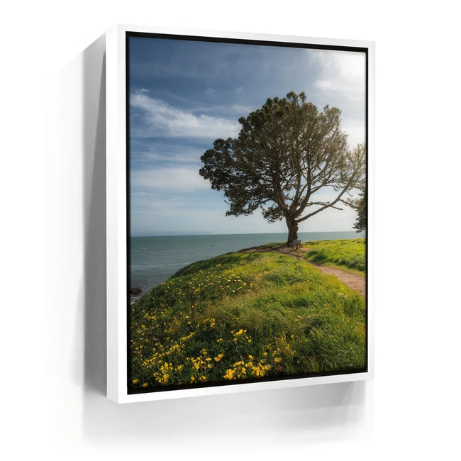 Featured image 6 for Spring Splendor - Santa Cruz, CA