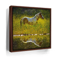 Featured image 11 for Stallion Among a Field of Flowers