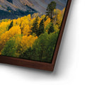 Thumbnail image 14 for Stoic
