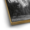 Thumbnail image 12 for Storm Light At Half Dome - BW
