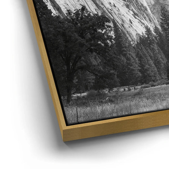 Featured image 12 for Storm Light At Half Dome - BW