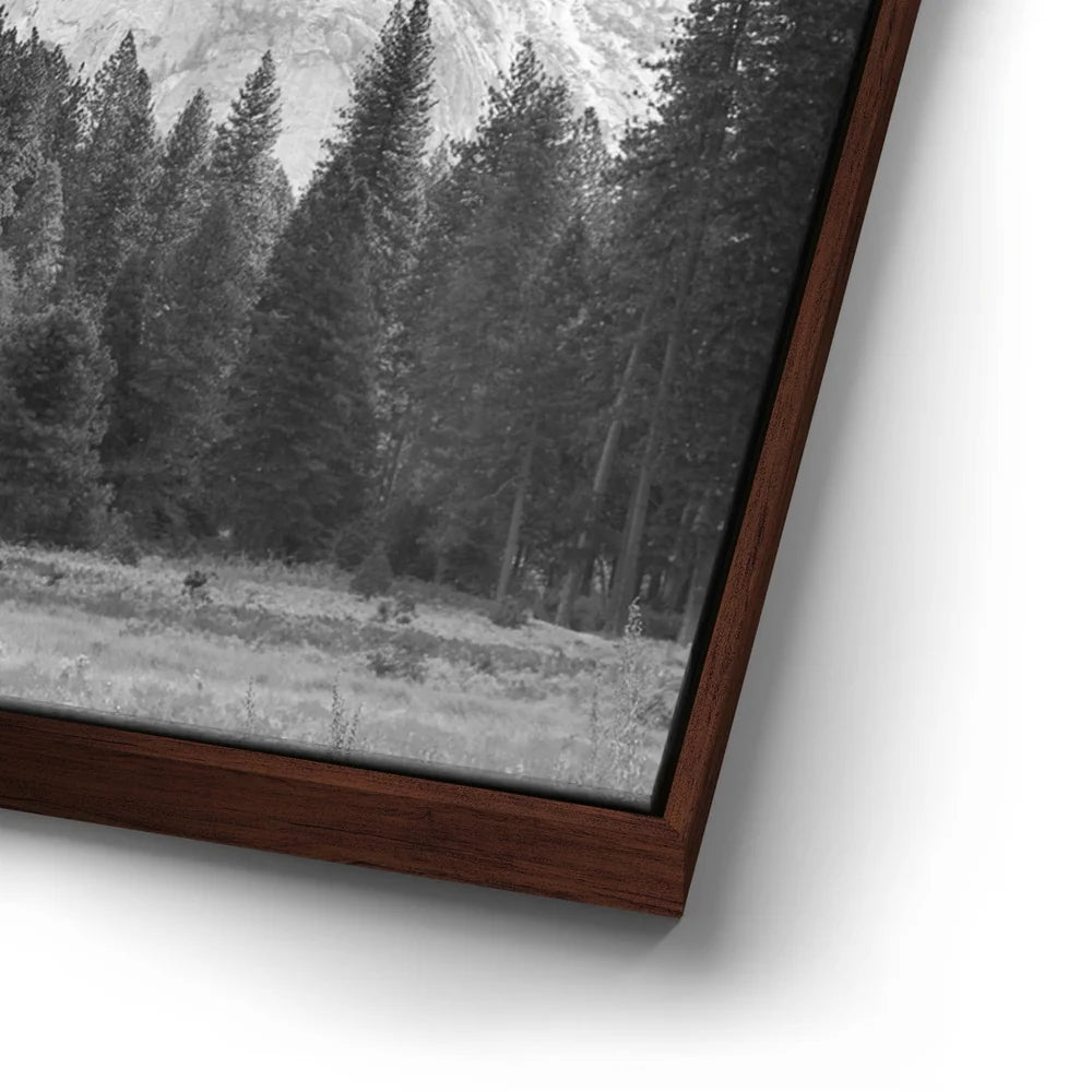 Featured image 14 for Storm Light At Half Dome - BW